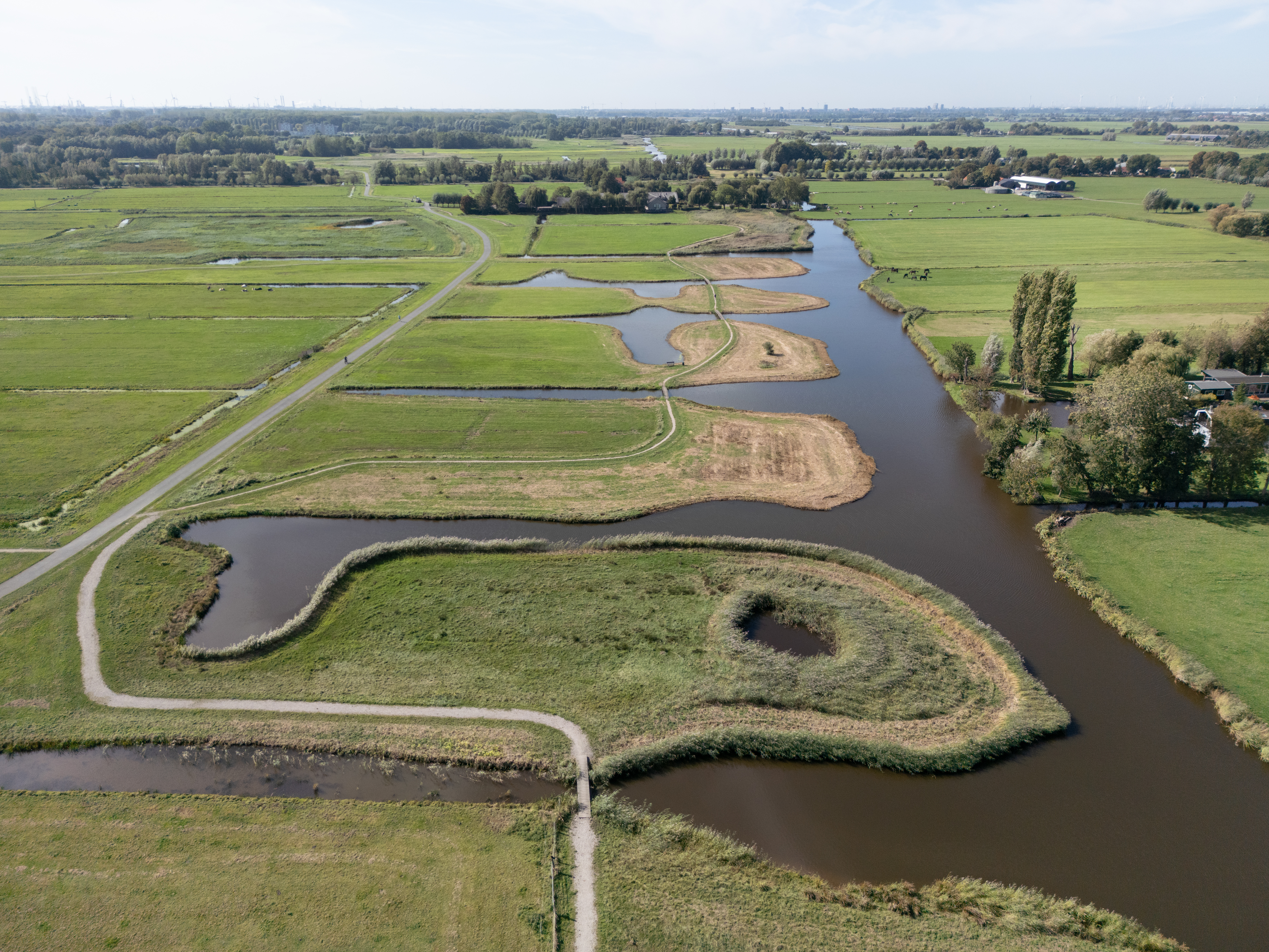 eco-zone_woelmuis_Zweth_28